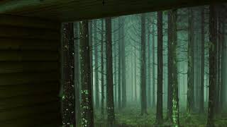 Wooden Forest Shelter during Heavy Rain - No thunder - 1 hour sound for sleep