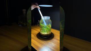 Easy water change in a nano aquarium