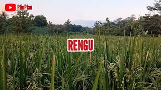 RENGU-IIN SUANDARI-LANGGAM