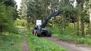 Harvester gegen Borkenkäfer