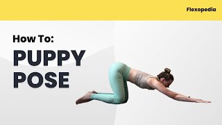 How To: Puppy Pose [Flexopedia Entry 104]