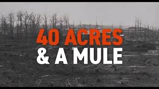 40/Acres & Mule-Reparations Movie