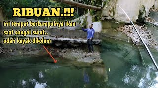 IKAN NGUMPUL NUNGGU UMPAN mancing disini berasa dikolam, memancing ikan wader uceng nilem