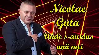 Nicolae Guta 💥 Unde s au dus anii mei 💥 Manele Vechi