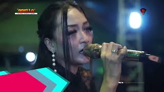 Bohoso Moto - Elsa Safira | Om Adella Kotalama Malang (2019)