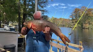 First ever Tranters Creek Carp