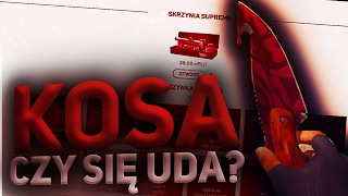 KOSA CZY SIĘ UDA!