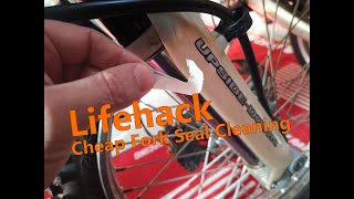 Lifehack - Cheap way to repair / clean your leaking Fork Seal - Upside Down fork aprilia ETX 125