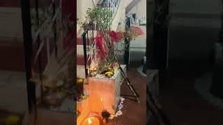 Tulsi Vivah 😍🙏 #trending #tiktok #video #viral #reels #ytshorts #festival #short #shorts