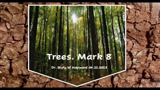 Trees  Mark 8