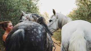 Hacemos el Camino de Santiago! - Último día del VIAJE A CABALLO por España