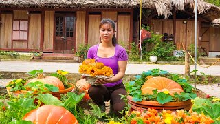 Harvesting Pumpkin Flower Goes To Market Sell - Family Farm