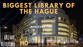 Biggest and most beautiful library in Holland #library #travel #nl #howtoviralvideo #mustwatch #fyp