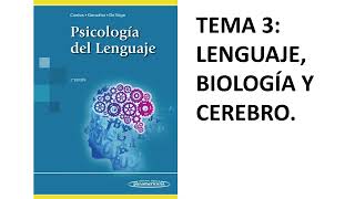 Psicología del Lenguaje UNED - Tema 3, Parte 5