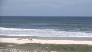 Praia Seca -  Restinga de Massambaba