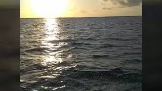 Deep drop Fishing in belize catching mystic grouper, black grouper, scrombrops, queen snapper