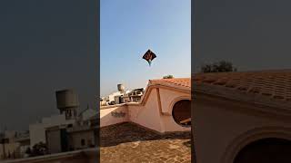 patang  ka mausam aa gya #youtubeshorts  #kite  #patang