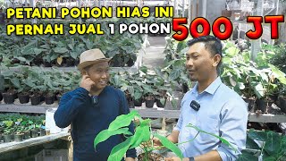 PETANI TANAMAN HIAS INI, PERNAH JUAL 1 TANAMAN HARGA Rp. 500JT