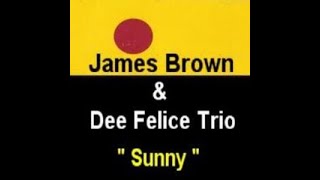 Hip Hop Beat (James Brown & Dee Felice Trio Sample)