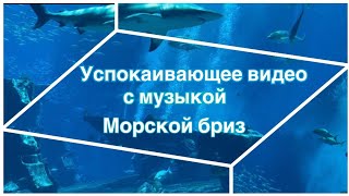 Успокаивающее видео с музыкой Морской бриз