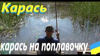 Карась на поплавочку#РибачуЯкУмію