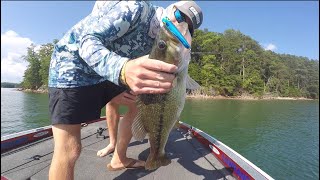 Lake Lanier Giant Bag of Spots (INSANE Topwater Blowups!)