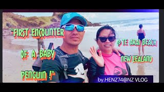 FIRST ENCOUNTER OF A BABY PENGUIN @ TE  ARAI BEACH, NEW ZEALAND!..HENZ74@NZ VLOG