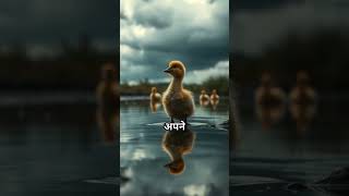 The Brave Duckling hindi story #hindistories #hindikahaniya #hindikahani #duck