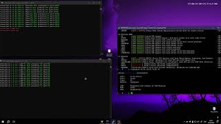 Moonrise C2 VS FIVEM SERVER (150 people) | Best BOTNET 2024 | Best DDOS Botnet