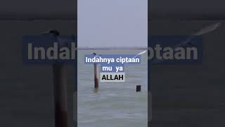 pemandangan sore hari di pantai