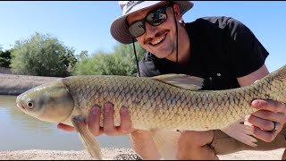 How to Fish for Canal Carp AZ