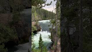 Yellowstone - Upper Falls - Aug. 2021