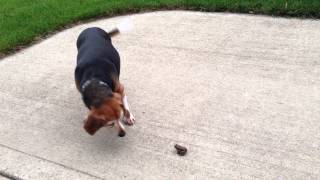 Nomar vs Toad - Oct 4, 2012