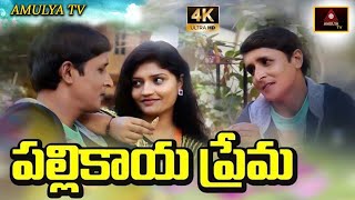 Pallikaya Prema Short Film | RS Nanda Short Films | పల్లికాయ ప్రేమ | Telangana Movies | Amulya TV