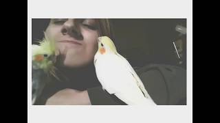 Birdy best friends