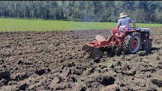 Agrale gradeando depois de tombar a terra com arado !!