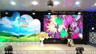 Sầu Tím Thiệp Hồng - Ngọc Sương " Đồng Xanh Restaurant Live Music 2024 "