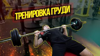 ТРЕНИРОВКА ГРУДИ | МОЙ ПУТЬ ДО 100КГ