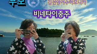 비네타2중주 「부모」(Bb) /하모니카연주 김선영