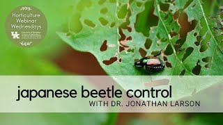 Japanese Beetle Control