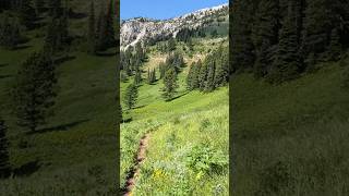 Trail riding in Montana 😬