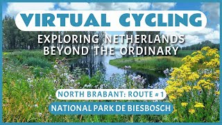 Fietsroute Nationaal Park De Biesbosch | Virtueel Fietsen