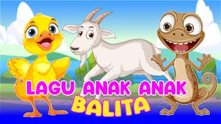 KUMPULAN LAGU ANAK ANAK TER POPULER | ANAK KAMBING SAYA - NAIK DELMAN - CICAK CICAK DI DINDING