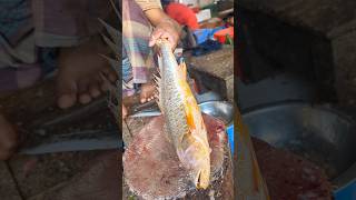 Amazing Poa Fish Cutting Skills In Bangladesh Fish Market #shorts