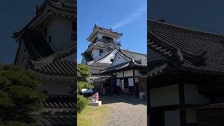 Kochi Japan: My Day In Port #shorts