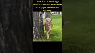 Пов:Шлёпа