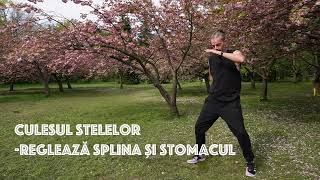 Qigong - 5 minute de practică matinală