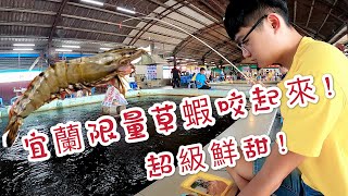 【來去釣草蝦】宜蘭在地草蝦季開跑啦!FT來來釣蝦場台湾のエビ Shrimp fishing in Taiwan 대만에서 낚시