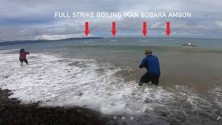 CASTING PINGGIRAN BOILING IKAN BOBARA