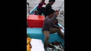 Jigging  sampai  leput  -   Trip memancing cencaru